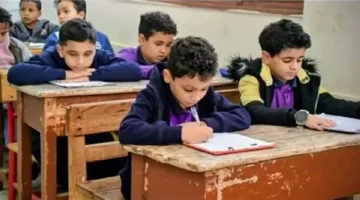 تحديث فوري رابط مباشر لنتيجة مراحل النقل بمحافظة القاهرة